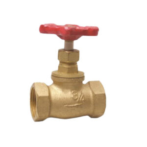 SUPASS  Brass Globe Valve