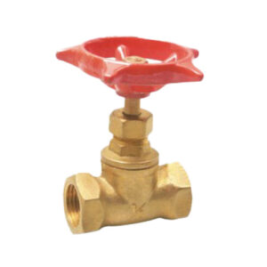 SUPASS Brass Globe Valve