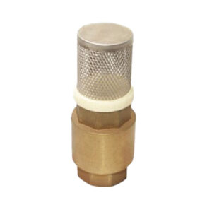Brass Check Valve