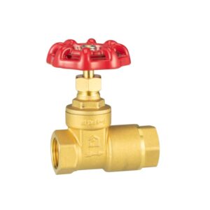 Brass check gate valve