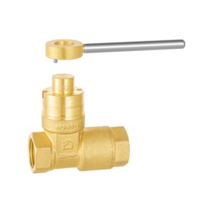 Brass magnetic lock check gate valve