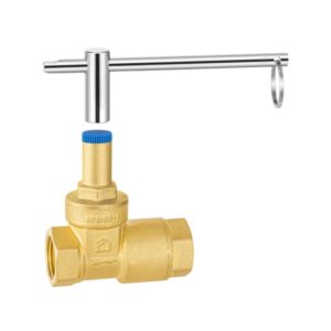 Brass lock check gate valve