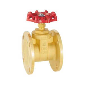 Brass flanged gate valve