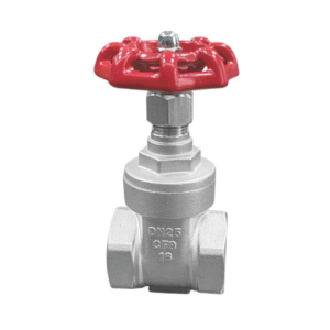 SUPASS Stainless steel gate valve