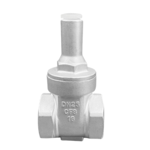SUPASS Stainless steel lock gate valve