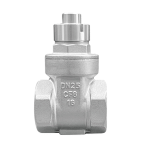 SUPASS Stainless steel magnetic lock gate valve