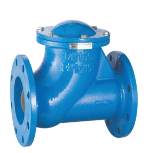 SUPASS Cast iron ball TYPE check valve