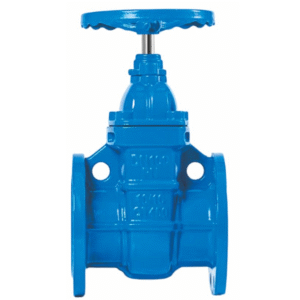 SUPASS Cast iron soft seal gate valve (RISING STEM)