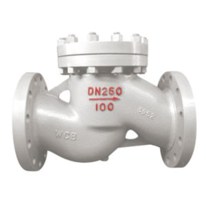 SUPASS Cast steel check valve (lifting type)